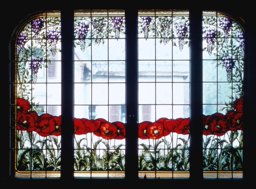 Mohnblumen-Fenster